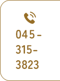 045-315-3823